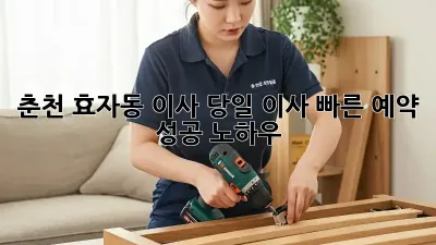 춘천 효자동 이사? 당일 이사 빠른 예약 성공 노하우!