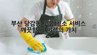부산 당감동 고급 청소 서비스: 깨끗함 그 이상의 가치