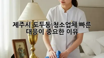 제주시 도두동 청소업체, 빠른 대응이 중요한 이유